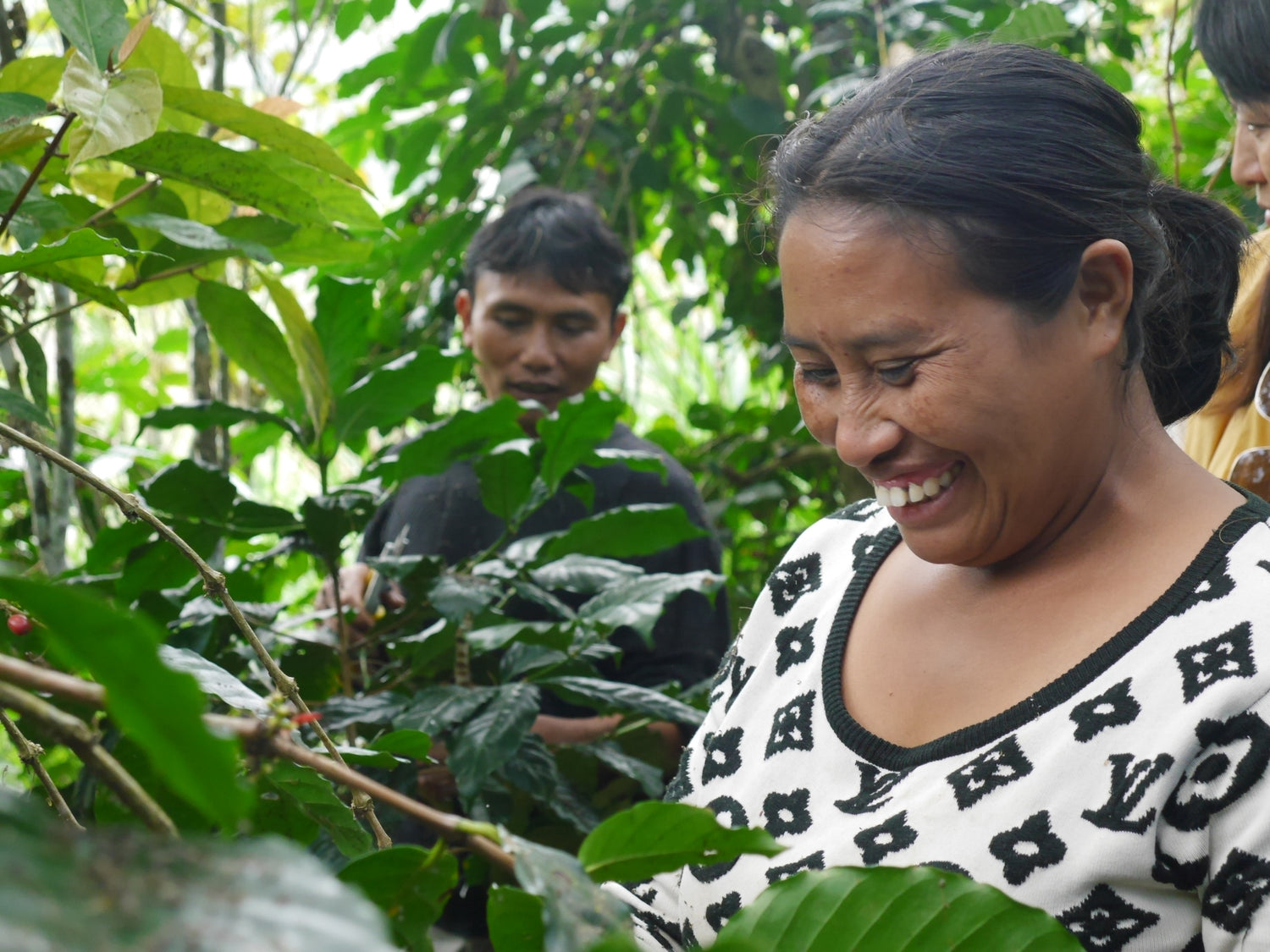 Bali organic specialty coffee